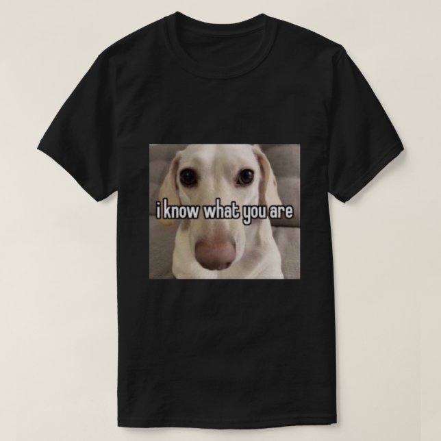 homophobischer Hund ich weiß, was Sie sind Fotogra T-Shirt (Design vorne)