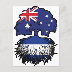 Honduras Honduras Australian Australia Tree Roots Postkarte
