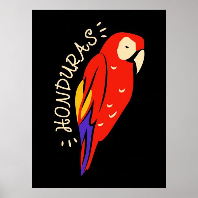 Honduras Parrot Poster (Vorne)