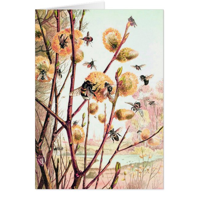 Honey abeille vintage illustration carte blanche (Devant)
