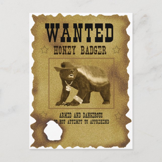 Honey Badger Gewollt Poster Postkarte (Vorderseite)