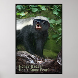 Honey Badger V2 Poster -40x60 -andere Größen auch