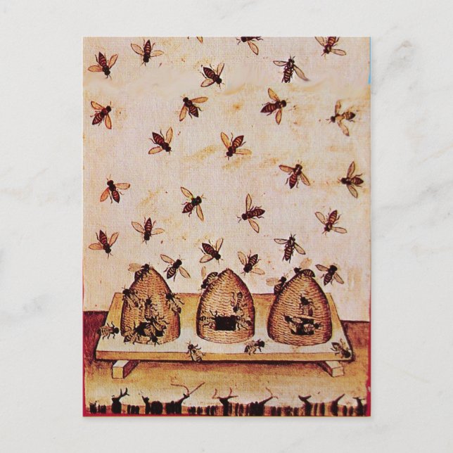 HONEY BEE ,BEEKEEPER /Bienenstock,Imkereivorräte Postkarte (Vorderseite)
