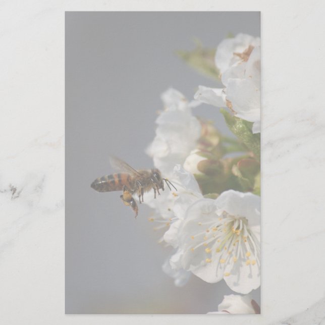 Honey Bee Briefpapier (Vorderseite)
