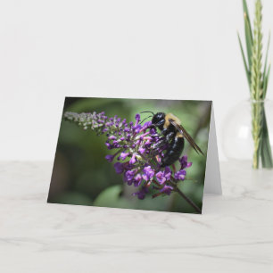Honey Bee, carte