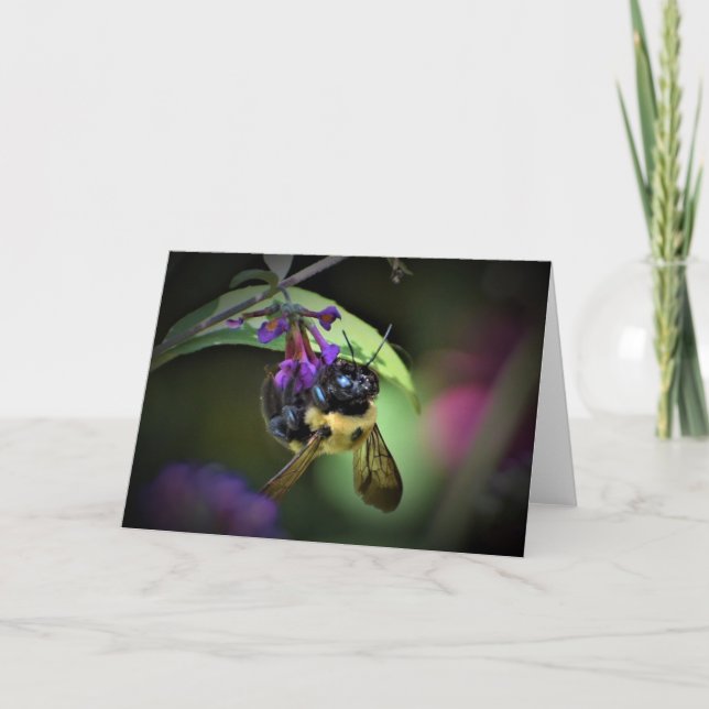 Honey Bee, carte (Devant)