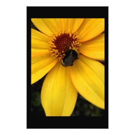 Honey bee  fotodruck