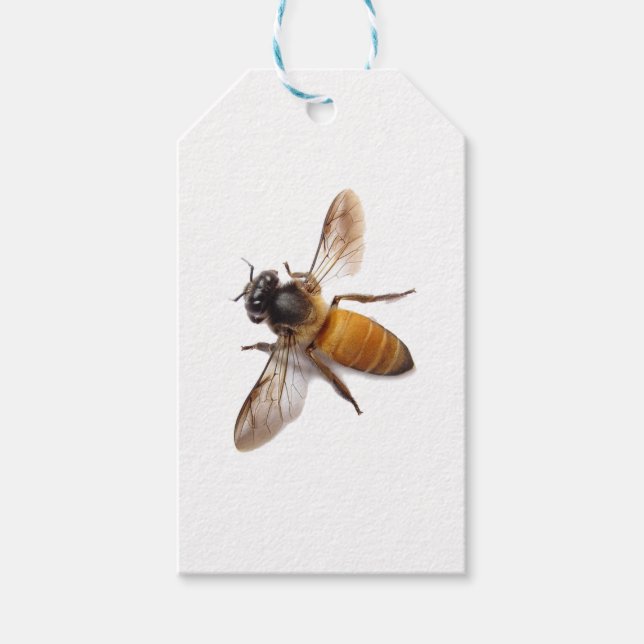 Honey Bee Geschenkanhänger (Vorderseite)
