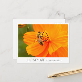 Honey Bee & Golden Cosmos Postkarte