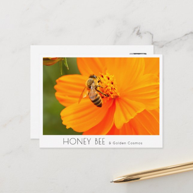 Honey Bee & Golden Cosmos Postkarte (Vorderseite/Rückseite Beispiel)