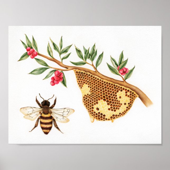 Honey Bee Illustration Poster (Vorne)