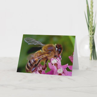 Honey Bee Karte