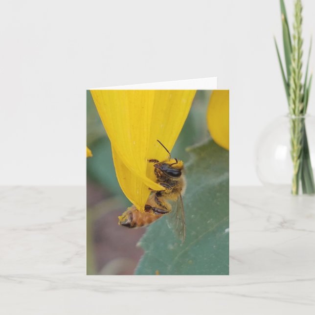 Honey Bee Note Card (Vorderseite)