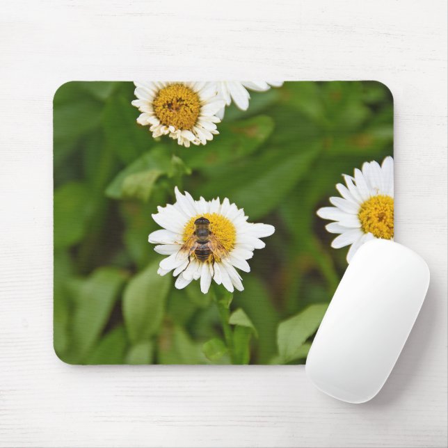 Honey Bee on a Daisy Mousepad (Mit Mouse)