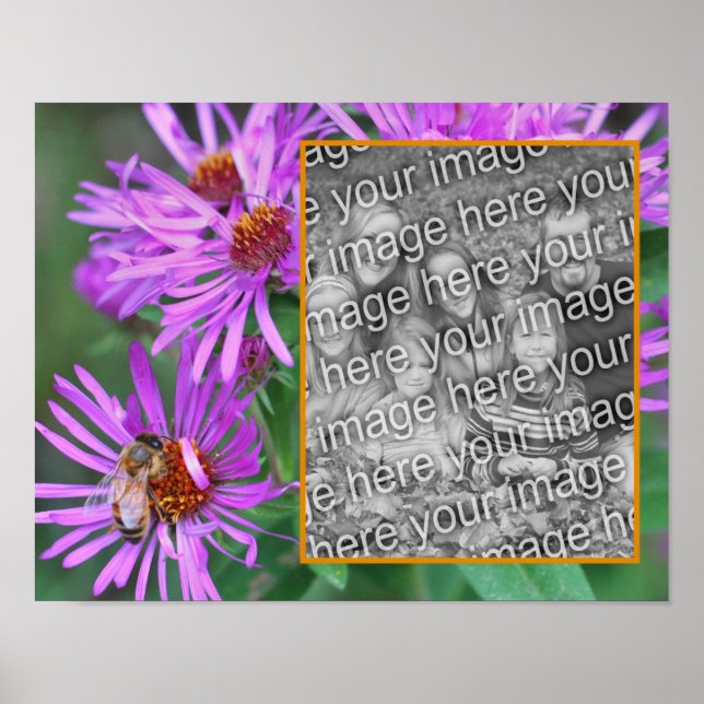 Honey Bee On Pink Aster Blume Fügen Sie Ihr Foto Poster (Vorne)