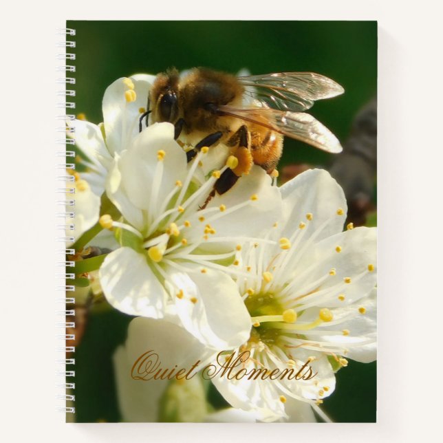 Honey Bee on White Plum Blossom Journal Notizbuch (Vorderseite)