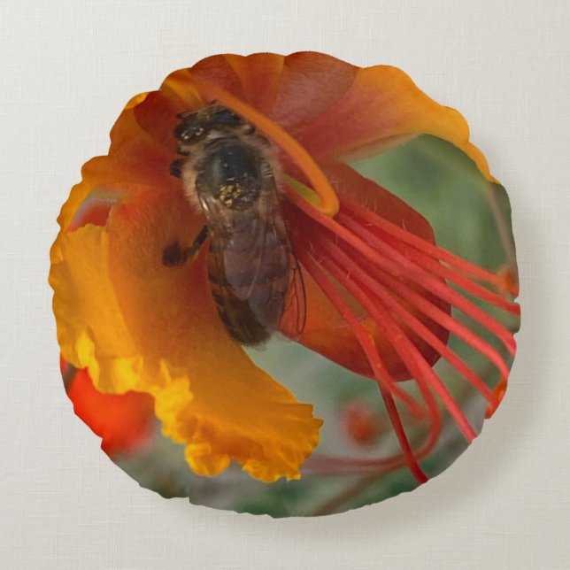 Honey Bee 🐝 Rundes Kissen (Vorderseite)