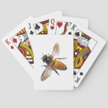 Honey Bee