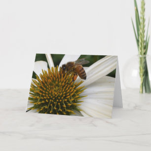 Honey Bee sur la carte de voeux du Conflower