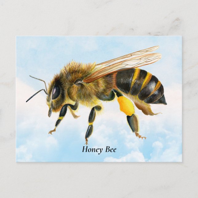 Honey Bee Watercolor Malerei Postkarte (Vorderseite)