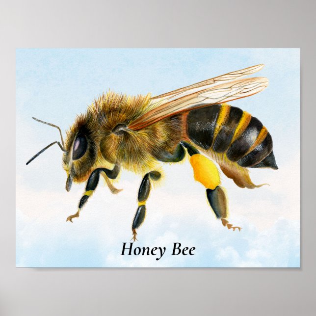 Honey Bee Watercolor Painting Poster (Vorne)