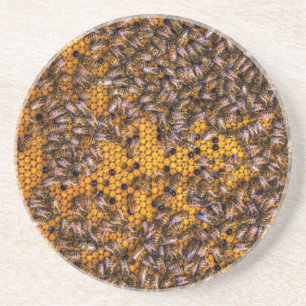 HONEY BEES GETRÄNKEUNTERSETZER