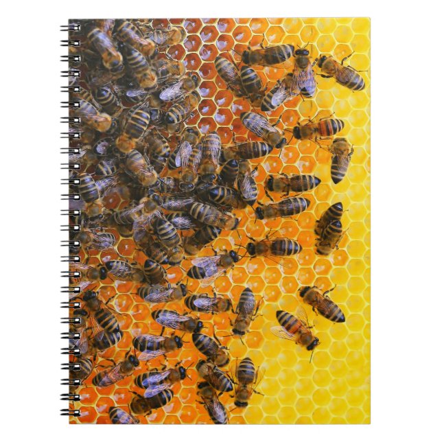HONEY BEES NOTIZBLOCK (Vorderseite)