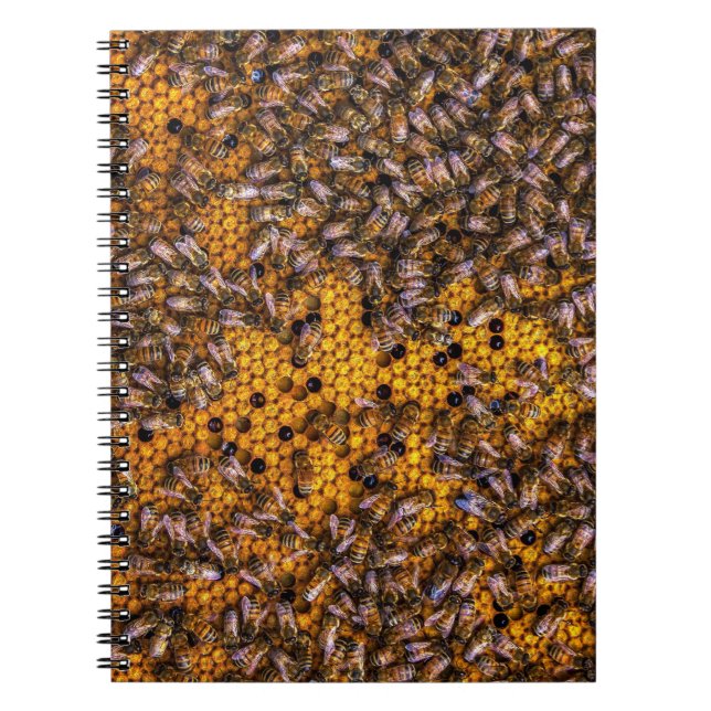 HONEY BEES NOTIZBLOCK (Vorderseite)