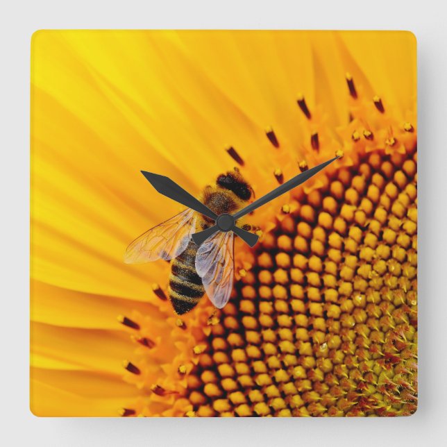 HONEY BIES (SONNENBLUME) QUADRATISCHE WANDUHR (Vorderseite)