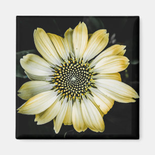 Honey Blossom Gelber Blumenmagnet Magnet