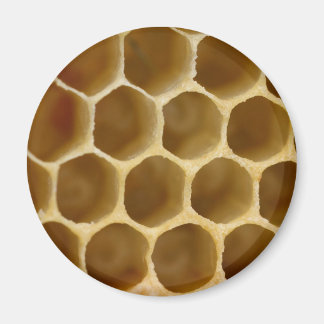 Honey Comb Magnet