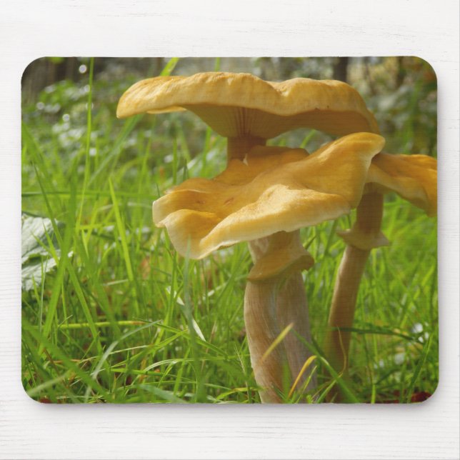 Honey Fungus Mouse Mat Mousepad (Vorne)