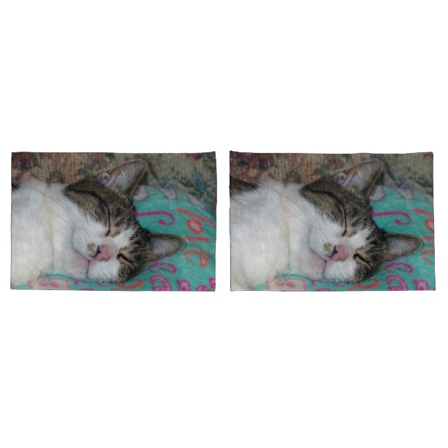 Honey Sleeping Kissenbezug (Rückseite-Set)