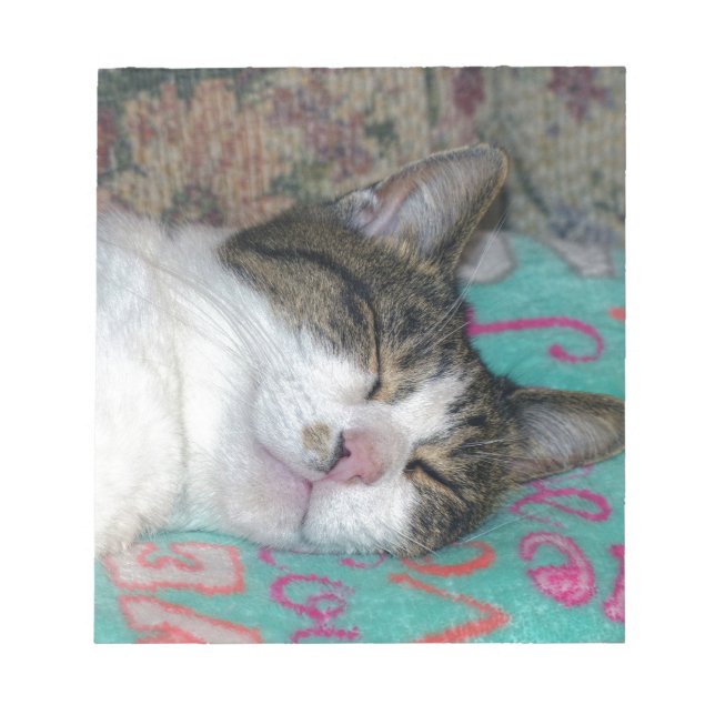 Honey Sleeping Notizblock (Vorderseite)