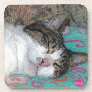 Honey Sleeping Untersetzer