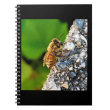 Honeybee 6.5x8.75 Spiral-Notebook