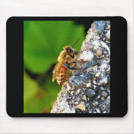 Honeybee Mousepad