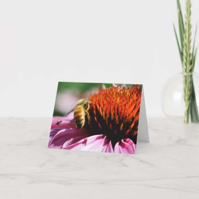 Honeybee On Flower Photography  (Devant)