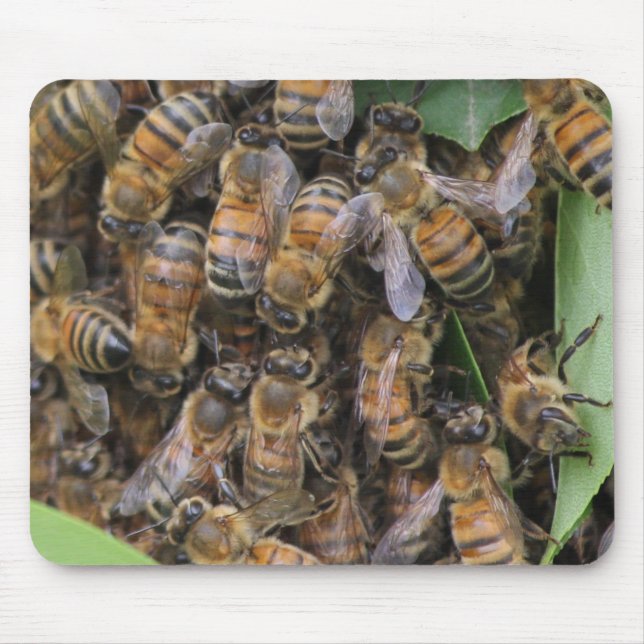 Honeybee Swarm Mousepad (Vorne)
