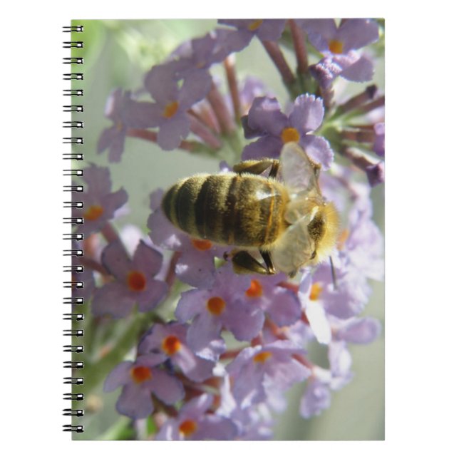 Honeybee und Buddleia-Blume-Notebook Notizblock (Vorderseite)