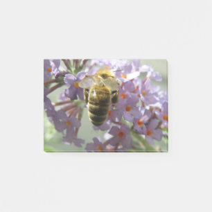 Honeybee und Buddleia Blume Post es notiert Post-it Klebezettel