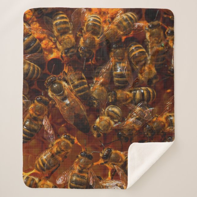 HONEYBEES 7 SHERPADECKE (Vorderseite)