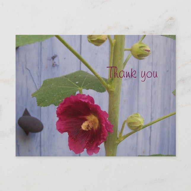 Honeysuccle danken Ihnen Postkarte (Vorderseite)