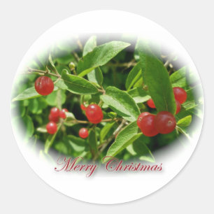 Honeysuckle Berries Weihnachtskleber Runder Aufkleber