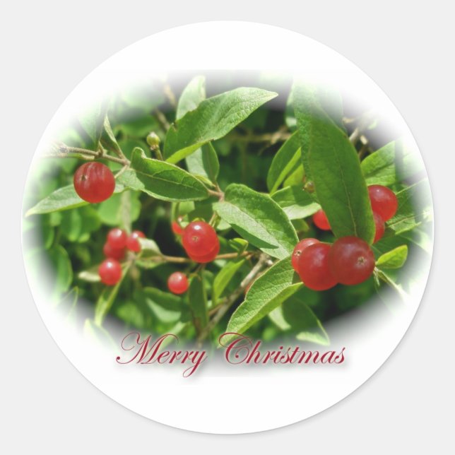 Honeysuckle Berries Weihnachtskleber Runder Aufkleber (Vorderseite)
