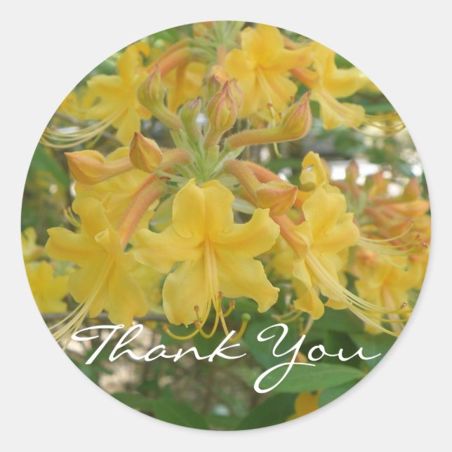 Honeysuckle danke dir Stickers (Vorderseite)