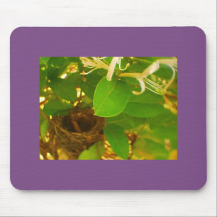 Honeysuckle Hummingbird Nest Mousepad