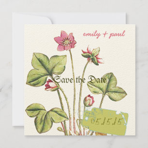 Honeysuckle Pink Blume Botanisch Save the Date