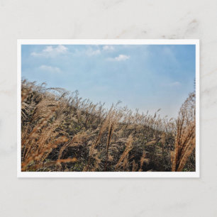 Hong Kong Landscape Postcard Postkarte