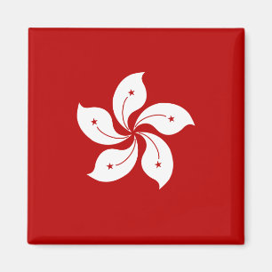 Hong Kong-Qualitäts-Flagge Magnet